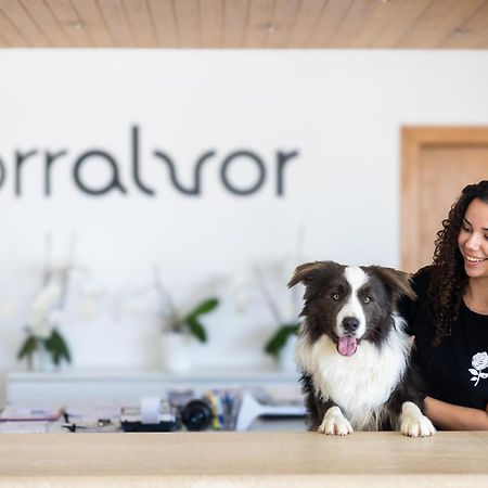 Dunas Do Alvor - Torrアルヴォル エクステリア 写真